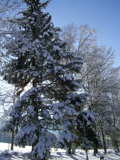 Foto vom Winter 2015/2016